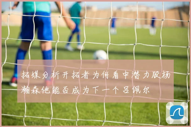 拓媒分析开拓者为何看中潜力股杨瀚森他能否成为下一个吕佩尔